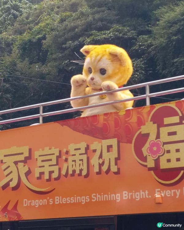 鰂魚涌偶遇🧡萬寧貓🧡so cute 🥰