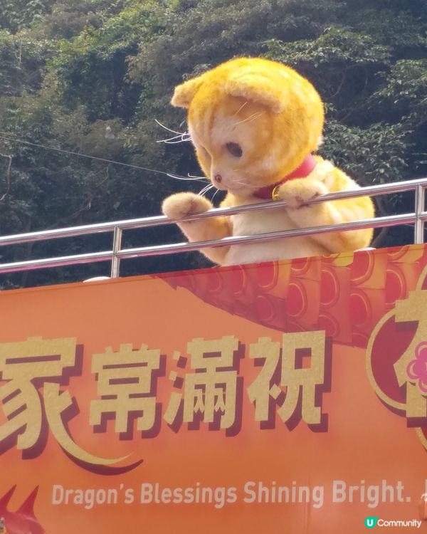 鰂魚涌偶遇🧡萬寧貓🧡so cute 🥰