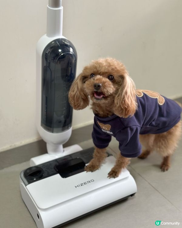 一試就愛上 ，Hizero F100 仿生潔地機