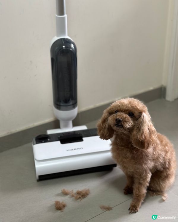 一試就愛上 ，Hizero F100 仿生潔地機