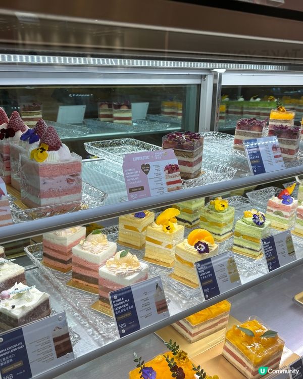 LIFETASTIC 草莓西瓜蛋糕🍰