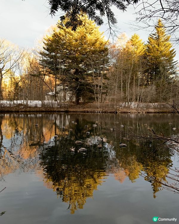 初訪輕井澤雲場池！四季不同景色，絕美大自然畫作！