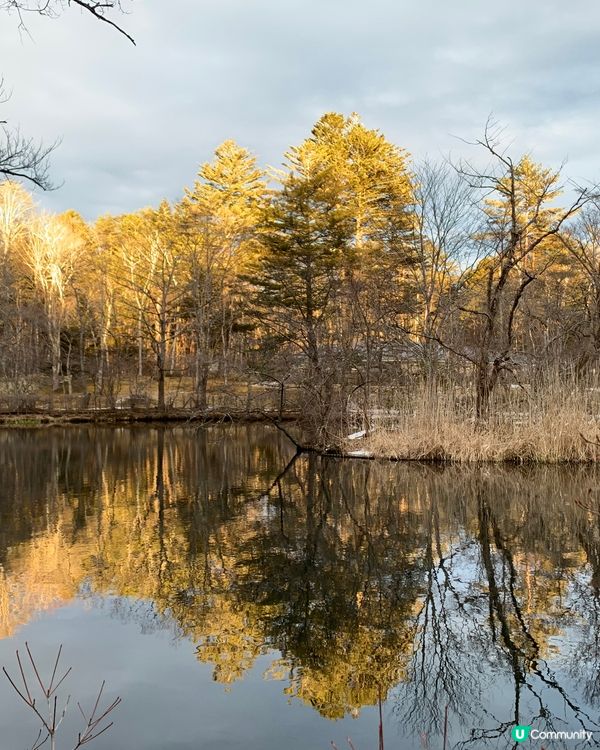 初訪輕井澤雲場池！四季不同景色，絕美大自然畫作！