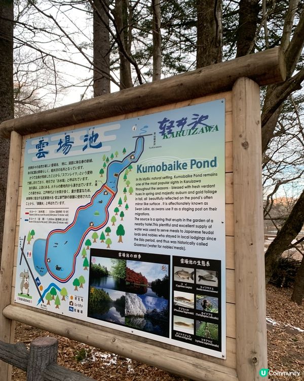 初訪輕井澤雲場池！四季不同景色，絕美大自然畫作！