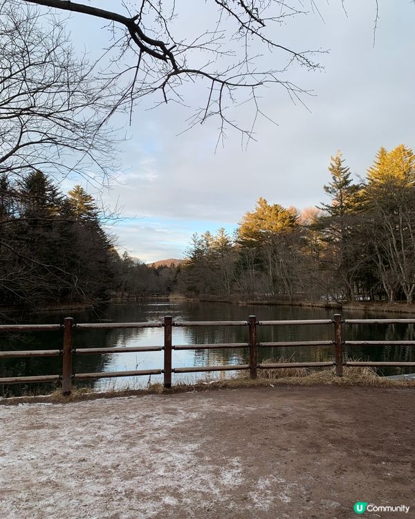 初訪輕井澤雲場池！四季不同景色，絕美大自然畫作！