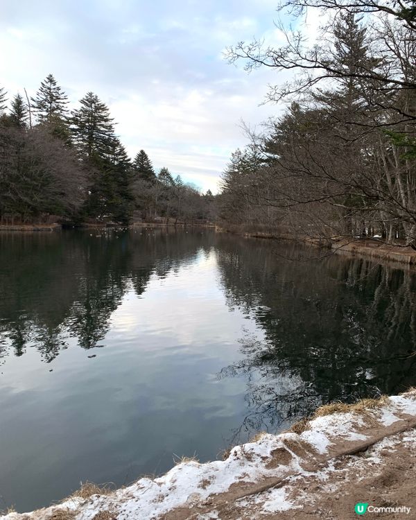 初訪輕井澤雲場池！四季不同景色，絕美大自然畫作！