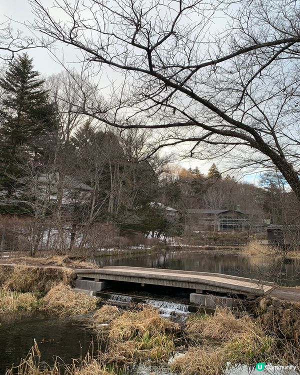 初訪輕井澤雲場池！四季不同景色，絕美大自然畫作！