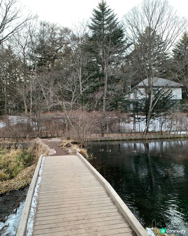 初訪輕井澤雲場池！四季不同景色，絕美大自然畫作！