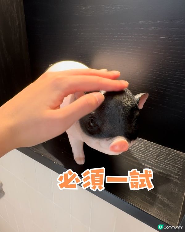 日本過江龍豚勝🐷超高質吉列豬扒♨️必食推介🌟