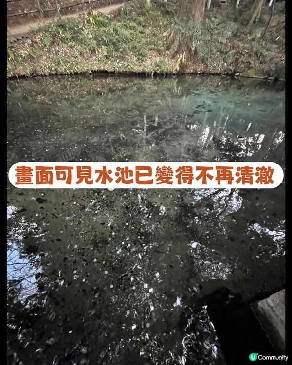⛩️日本神社官方告急😭‼️呼籲遊客唔好再做呢樣嘢❌🙏🏻
