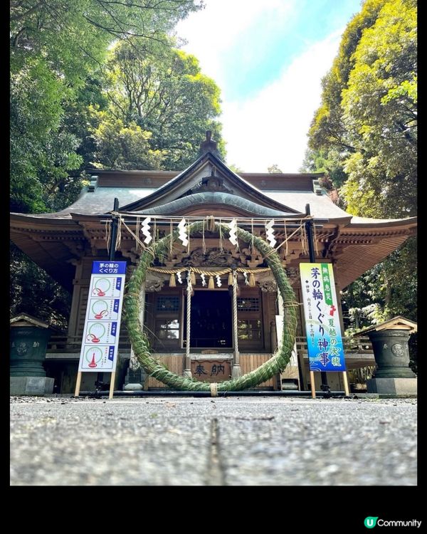 ⛩️日本神社官方告急😭‼️呼籲遊客唔好再做呢樣嘢❌🙏🏻