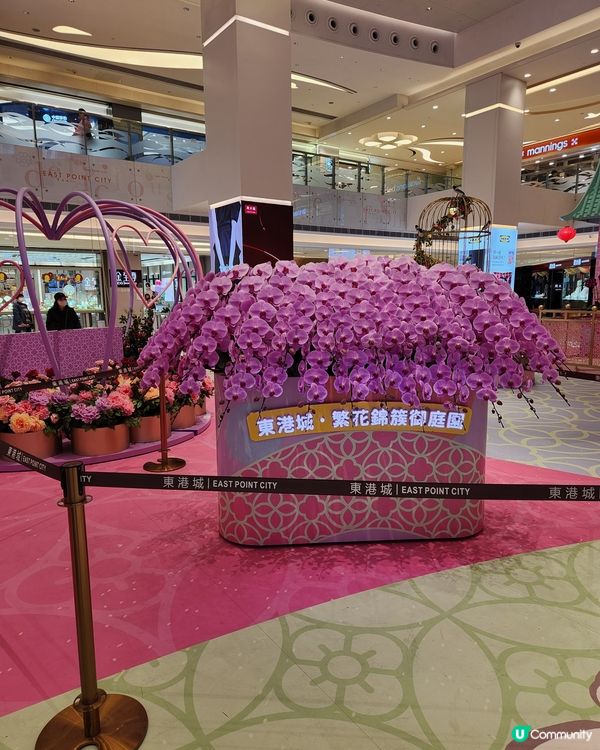 將軍澳坑口東港城商場