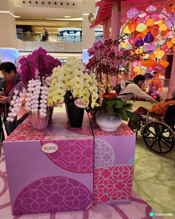 將軍澳坑口東港城商場