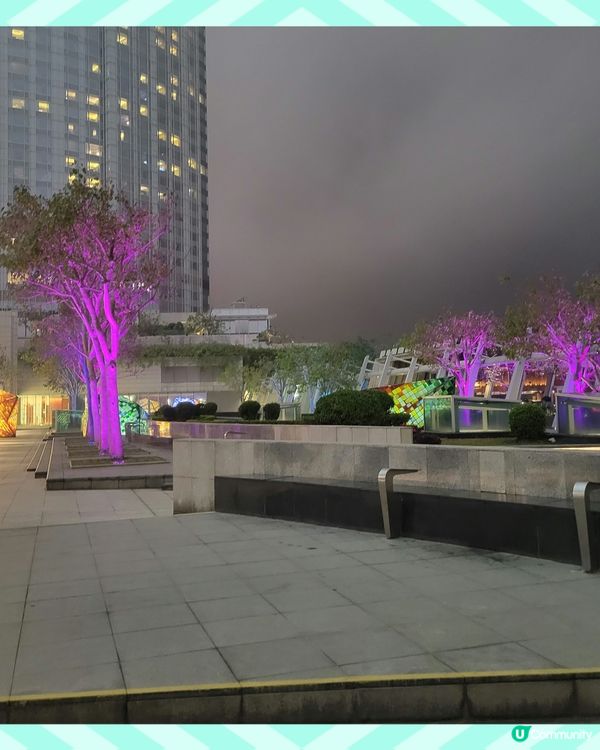 飽覽維景嘅商場平台花園