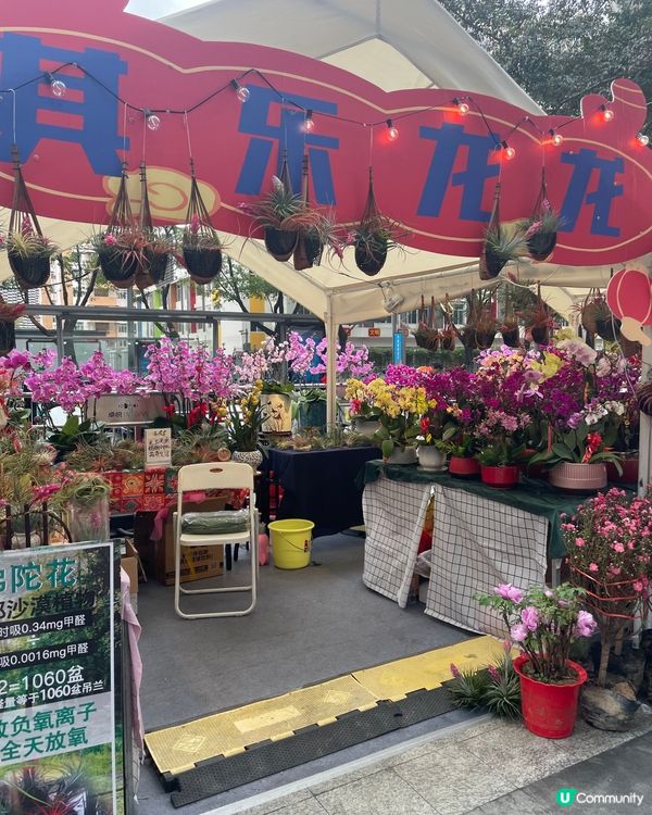 港人消費優惠