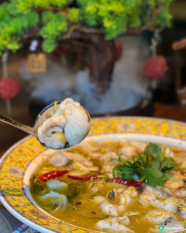 宮廷川菜🌶️
