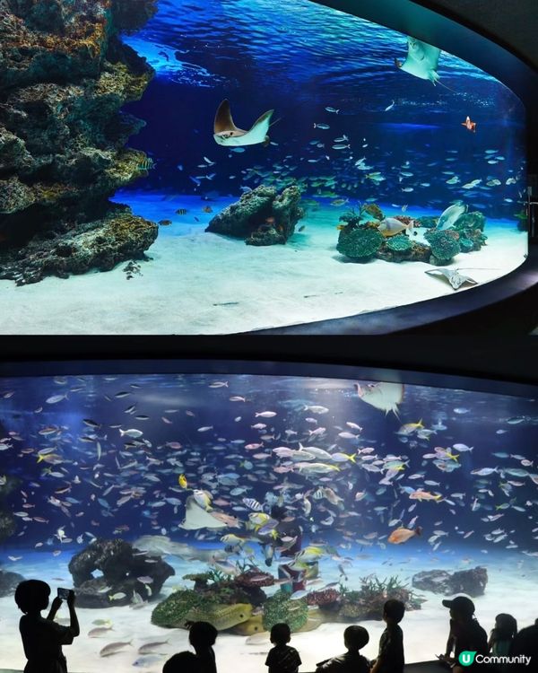 陽光水族館🐠