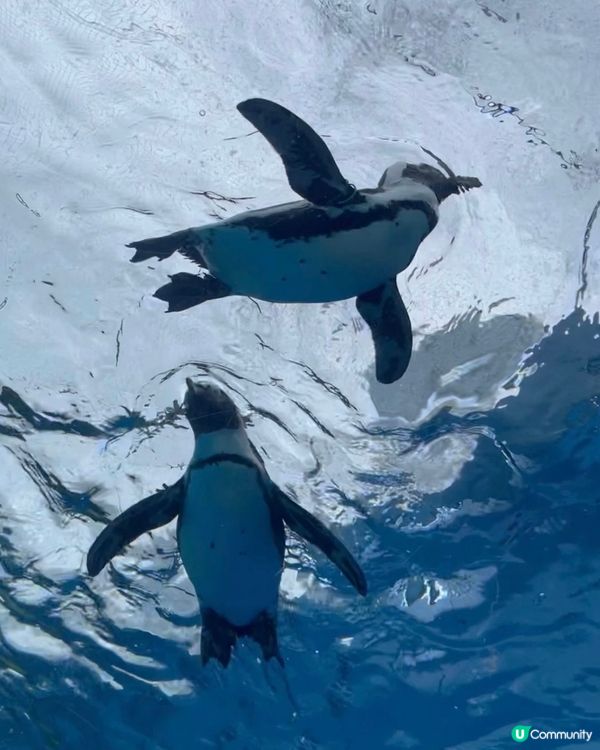 陽光水族館🐠