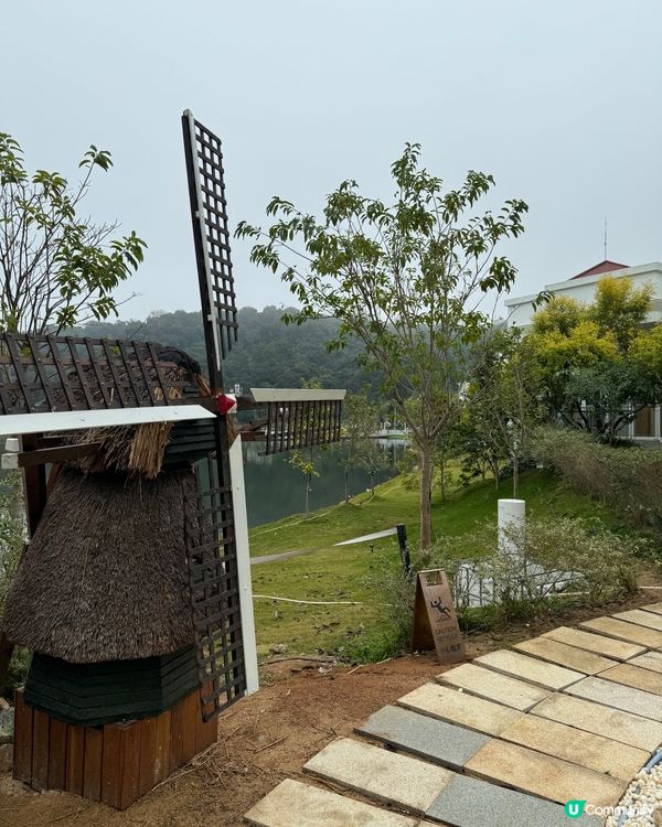 大埔小白鷺Lake House花田打卡時間表