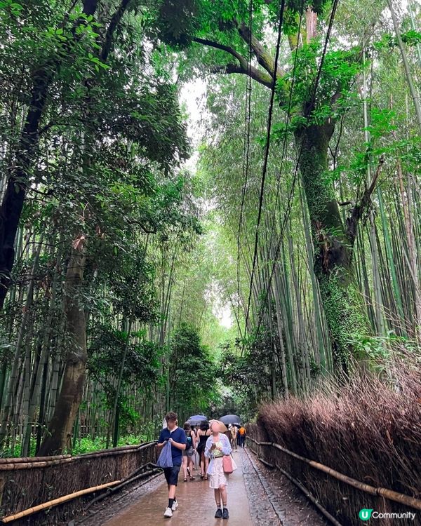 《京都嵐山一日遊》