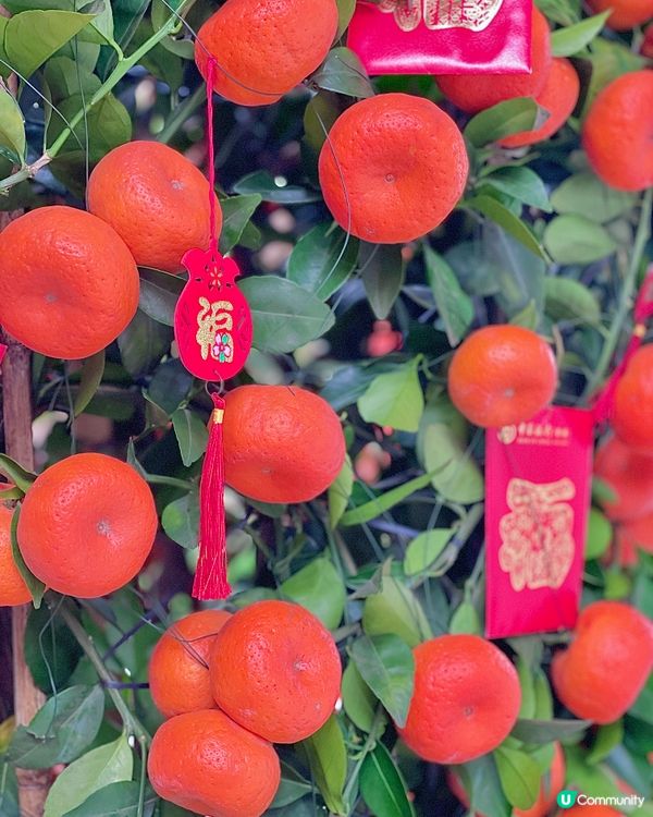隱匿山間的小眾絕美寺廟，新年祈福好去處