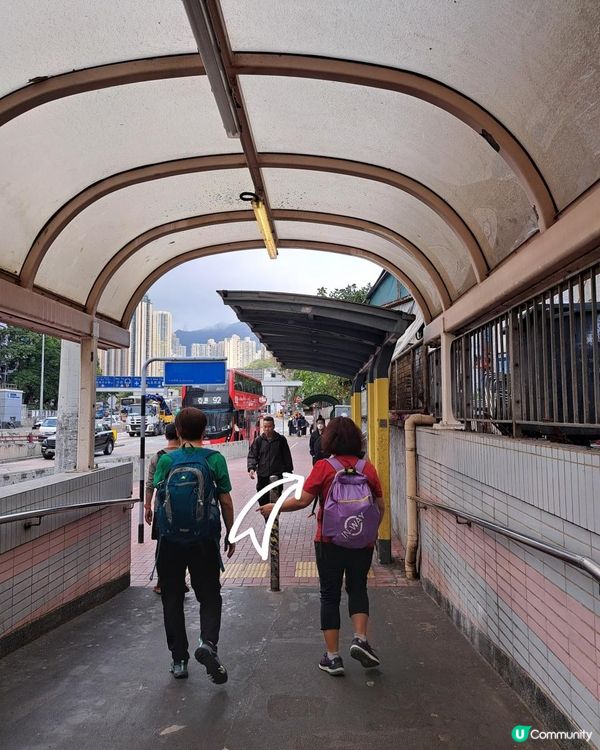 《彩虹站上山走一圈到黃大仙》空心樹、鯊魚石🦈、飛鵝山觀景台