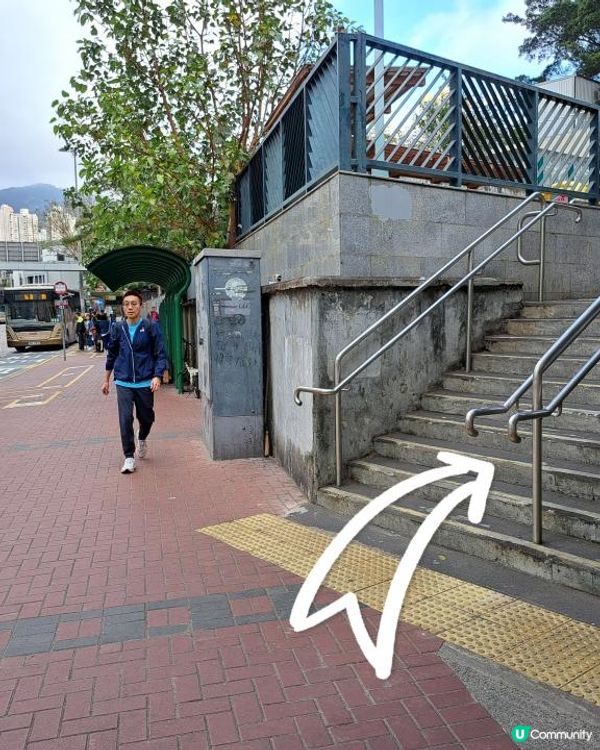 《彩虹站上山走一圈到黃大仙》空心樹、鯊魚石🦈、飛鵝山觀景台