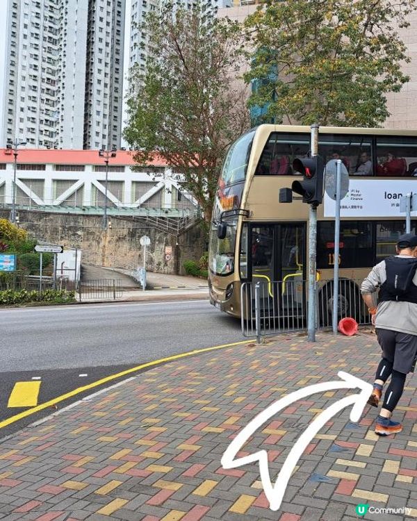 《彩虹站上山走一圈到黃大仙》空心樹、鯊魚石🦈、飛鵝山觀景台