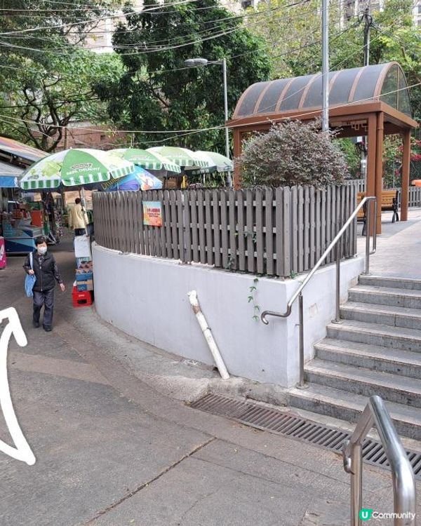 《彩虹站上山走一圈到黃大仙》空心樹、鯊魚石🦈、飛鵝山觀景台