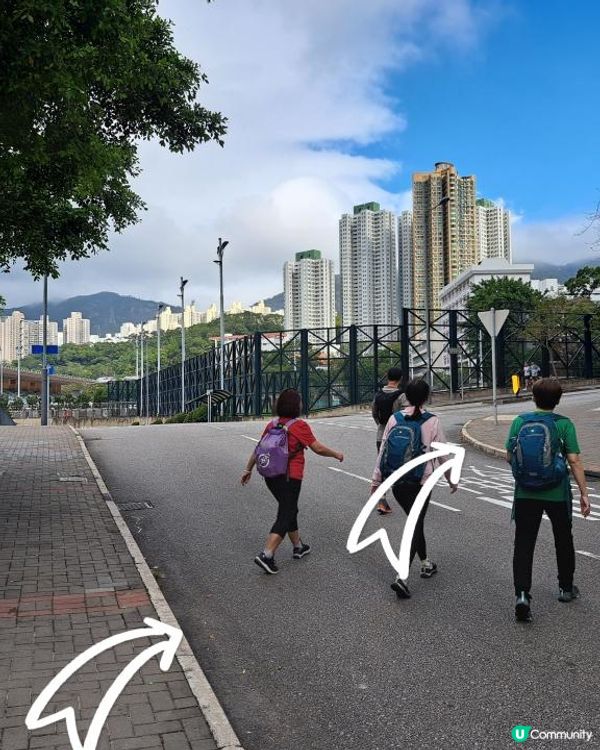 《彩虹站上山走一圈到黃大仙》空心樹、鯊魚石🦈、飛鵝山觀景台