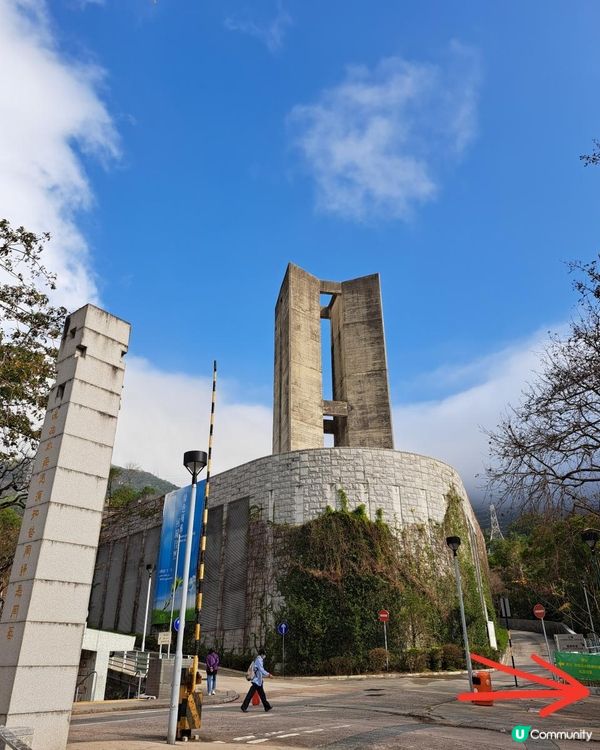 《彩虹站上山走一圈到黃大仙》空心樹、鯊魚石🦈、飛鵝山觀景台