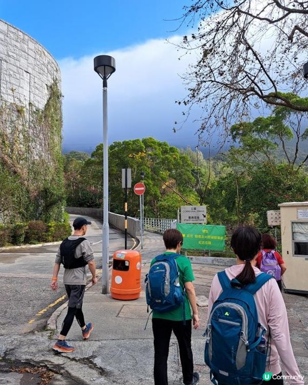 《彩虹站上山走一圈到黃大仙》空心樹、鯊魚石🦈、飛鵝山觀景台