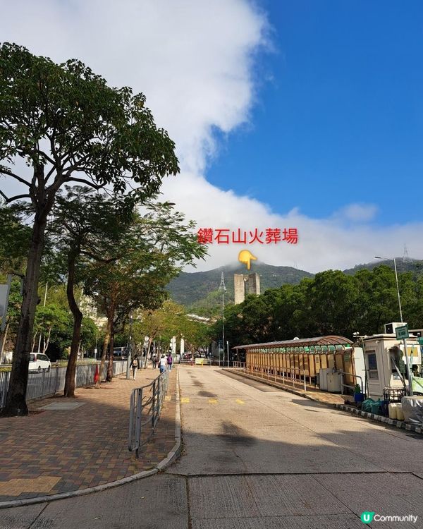 《彩虹站上山走一圈到黃大仙》空心樹、鯊魚石🦈、飛鵝山觀景台