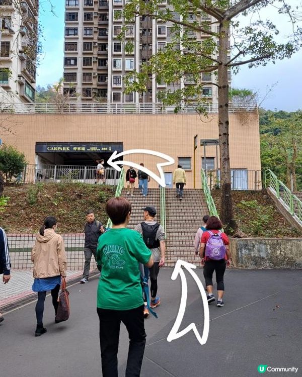 《彩虹站上山走一圈到黃大仙》空心樹、鯊魚石🦈、飛鵝山觀景台