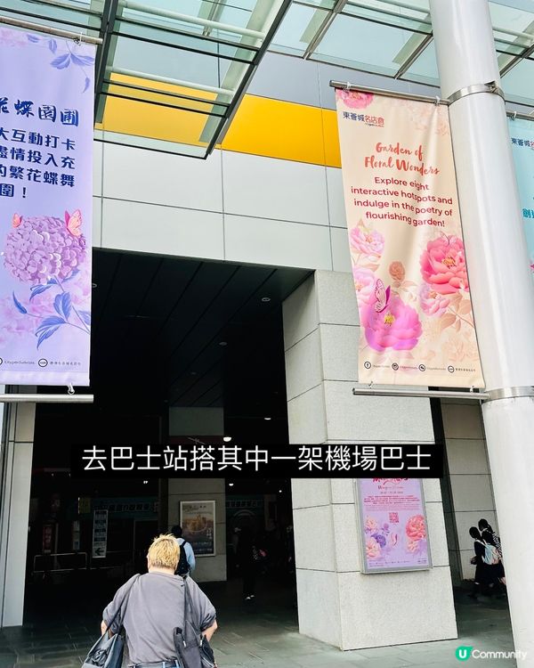 唔洗去日本都有靚靚櫻花睇🌸