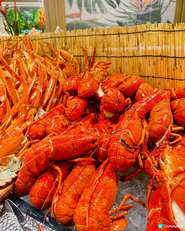 新店速遞ThePalate柏麗廳高質自助餐