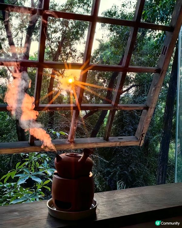 🍵深圳新開隱世茶室 試業中！初八啟市正式營業！