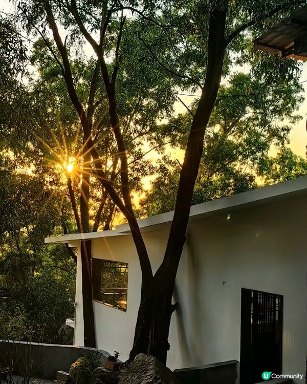 🍵深圳新開隱世茶室 試業中！初八啟市正式營業！