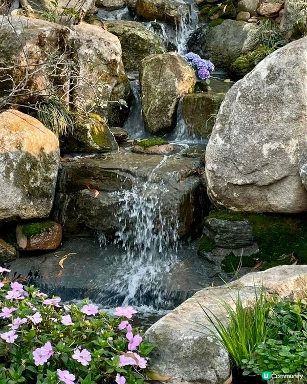 🍵深圳新開隱世茶室 試業中！初八啟市正式營業！