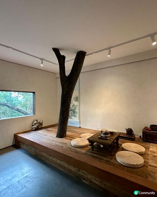 🍵深圳新開隱世茶室 試業中！初八啟市正式營業！