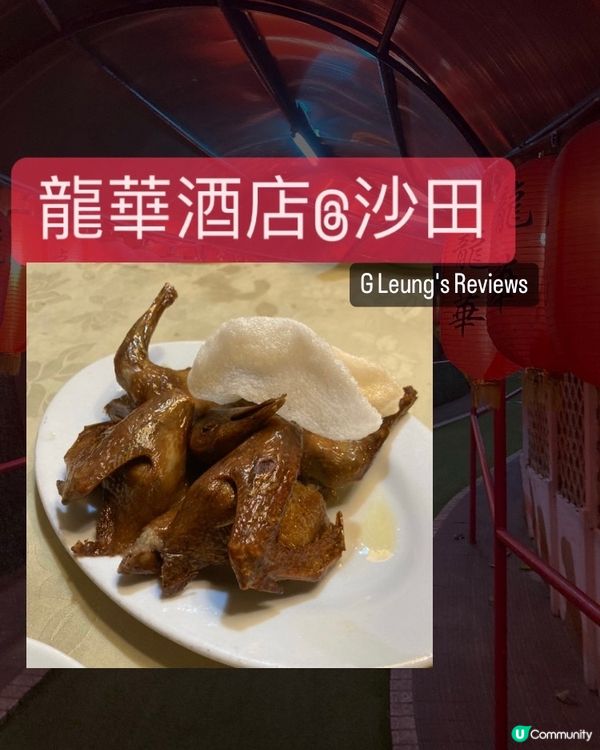 去沙田食乳鴿雞粥的老牌子 龍華懷舊風味菜