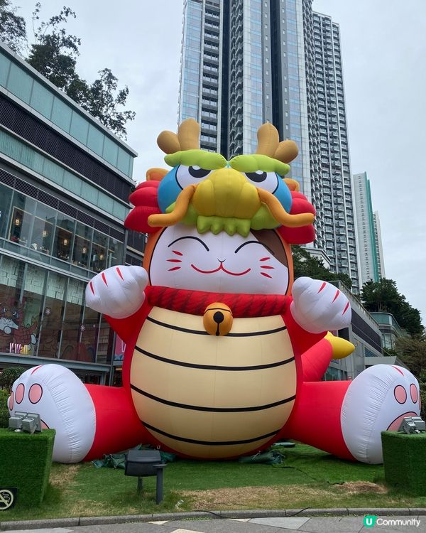 招財龍貓