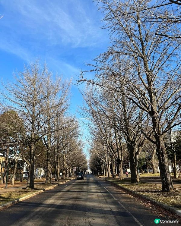 美美的北海道大學