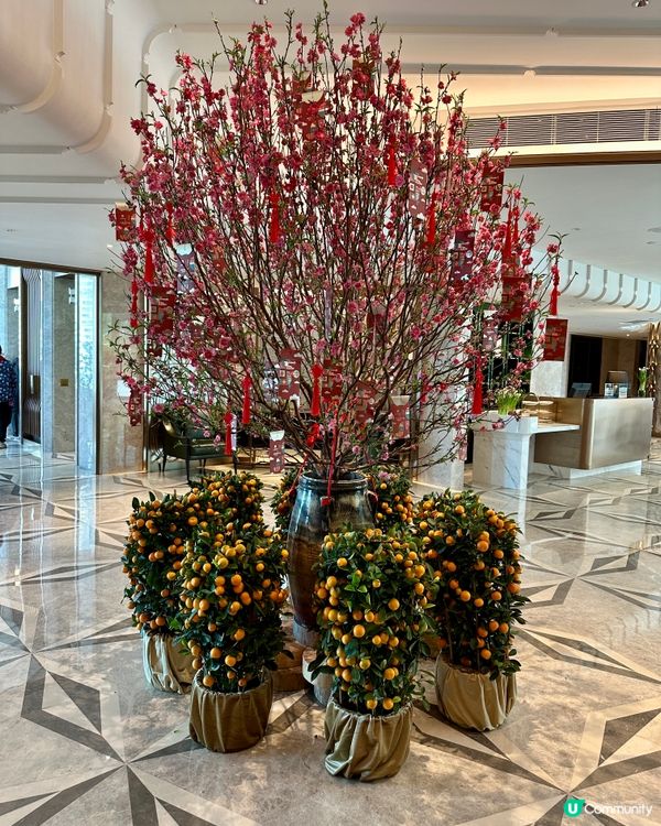 情人節·桃花旺