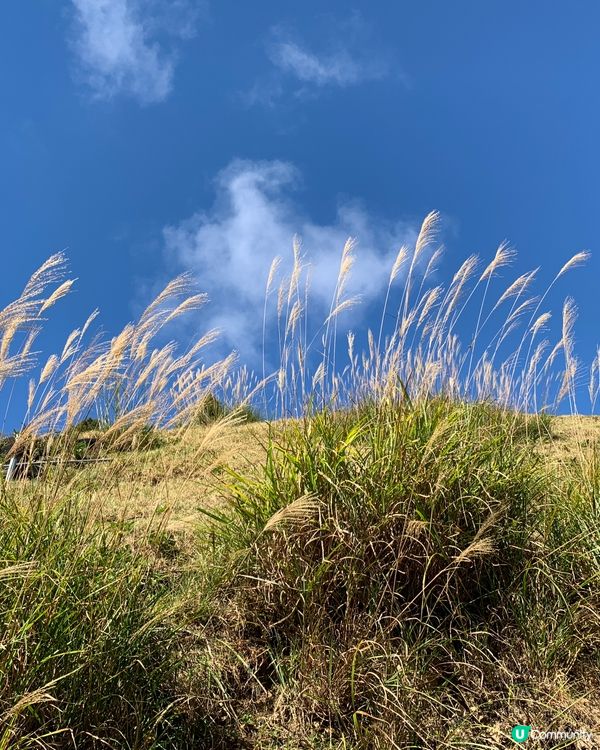 清清草地清境遊