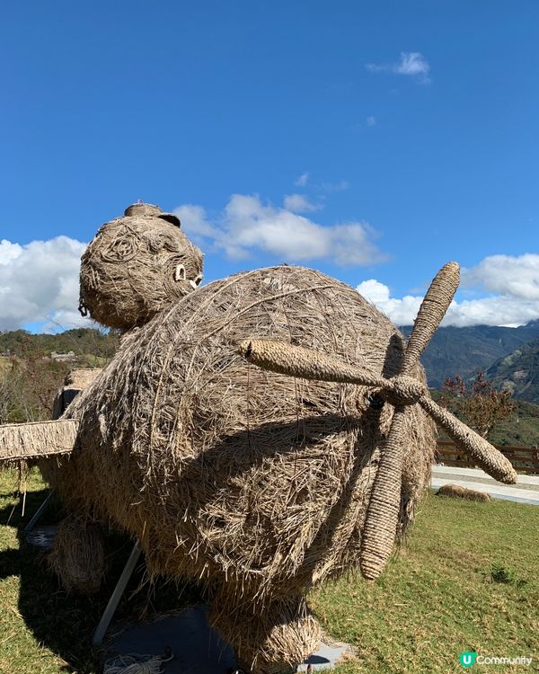清清草地清境遊