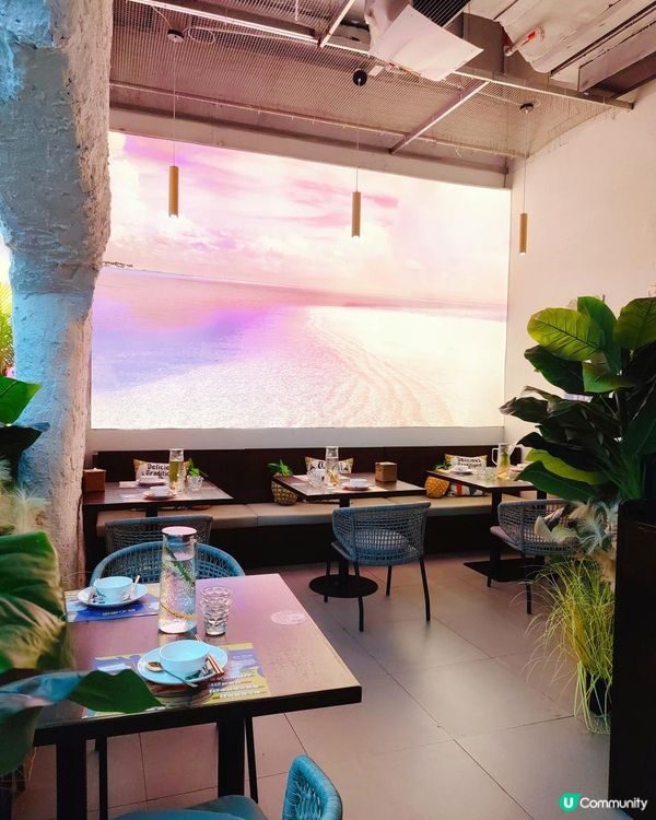 在深圳！吃到魔都人氣泰菜