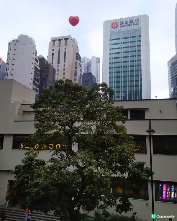 Chubby Hearts Hong Kong