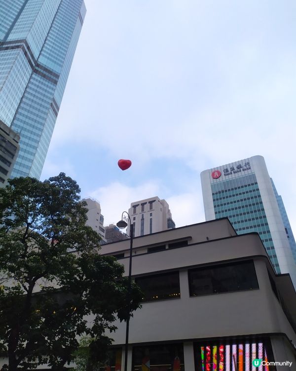 Chubby Hearts Hong Kong