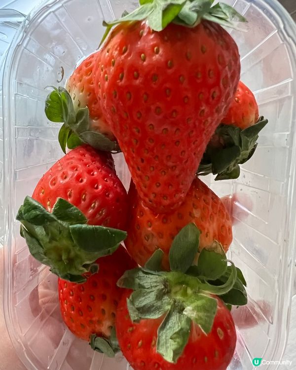 士多啤梨🍓